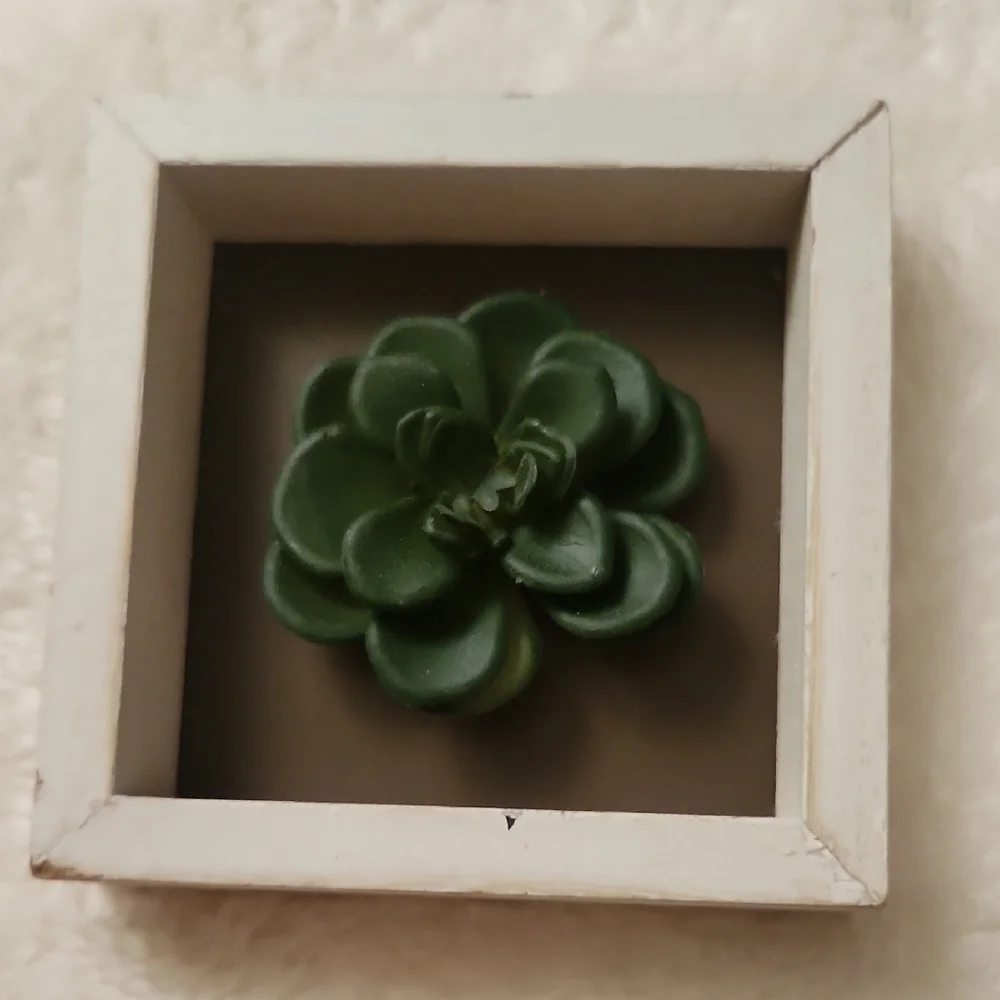White Framed Rustic Succulent Wall Decor Set